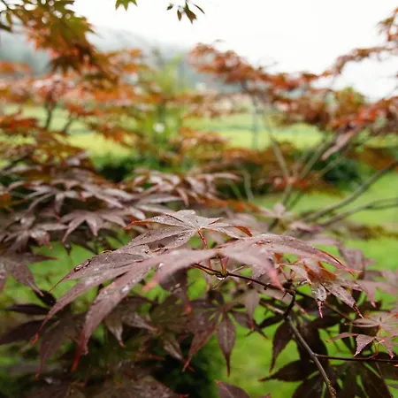 La Mies Апартаменты *